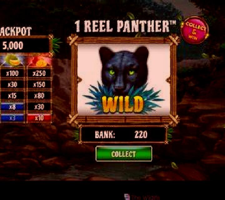 1 Reel Panther slot