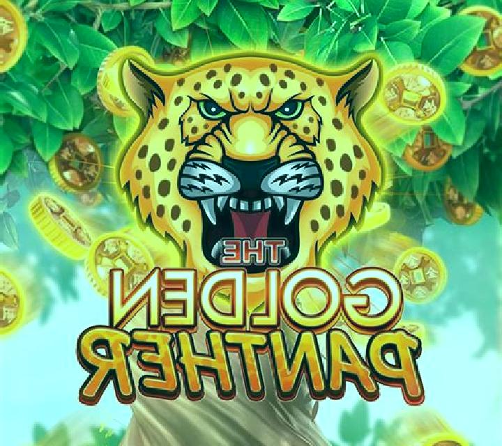 Book of Panther slot