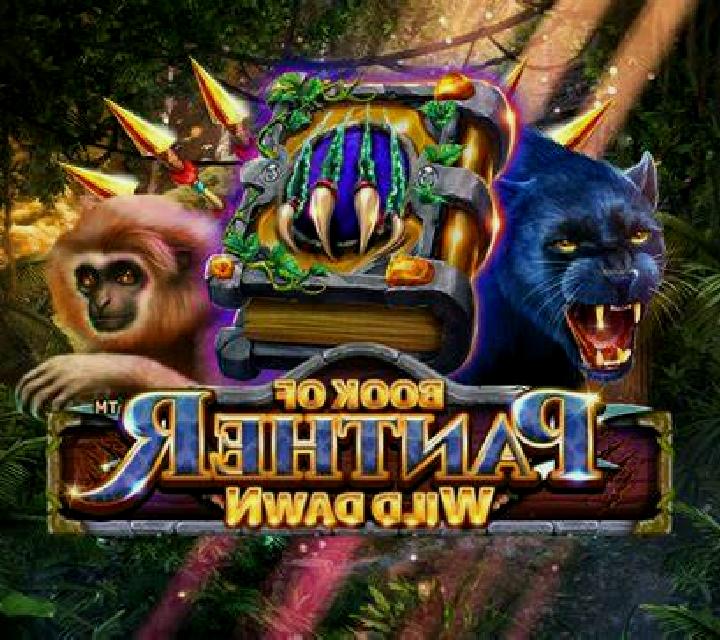 Book Of Panther Wild Dawn slot