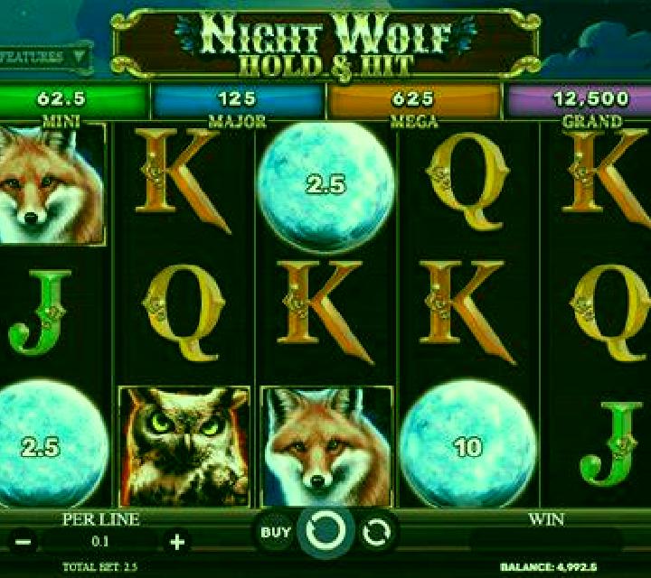Night Wolf - Hold & Hit slot