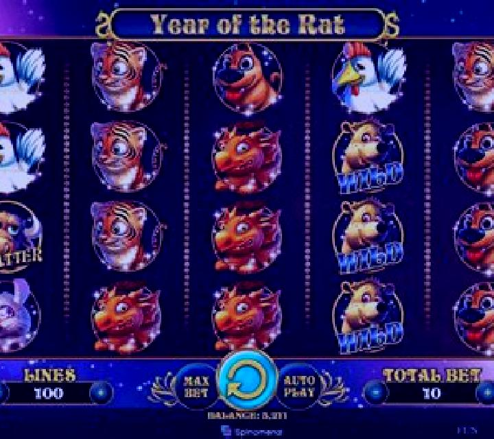 Year of the monkey (Spinomenal) slot
